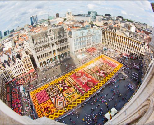 Flower Carpet Brussels